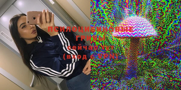 круглые Алексеевка