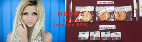 индика Алзамай