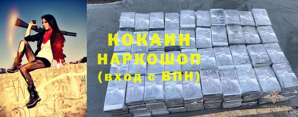 индика Алзамай