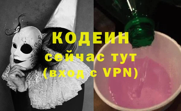 индика Алзамай