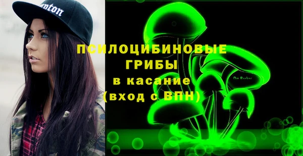 кокс Алексин