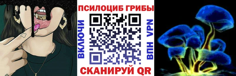 KRAKEN онион  наркотики  Поронайск  Галлюциногенные грибы прущие грибы 